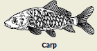 2010-7c.png