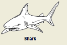 2010-7d.png