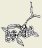 2011-8a.png