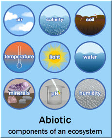 what are the abiotic components of an ecosystem